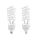 65W Light Bulb Studio Lighting