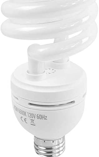 42W Light Bulb Studio Lighting