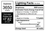 65W Light Bulb Studio Lighting