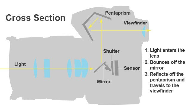 Mirrorless - a large sensor in a small body