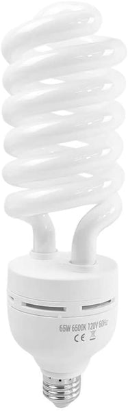 65W Light Bulb Studio Lighting